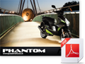 Pulse Phantom Brochure