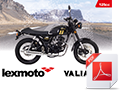 A6 Bike brochure for Valiant EFI