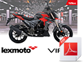 A6 Bike brochure for Viper 125