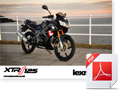 Lexmoto XTRS Brochure