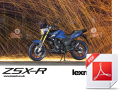 Lexmoto ZSX-R 125