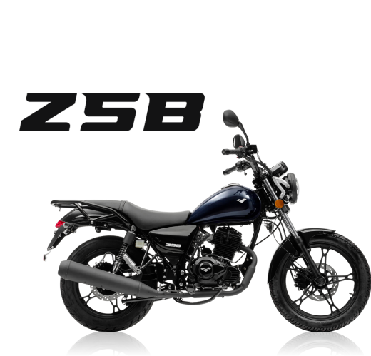 Lexmoto ZSB 125 E55